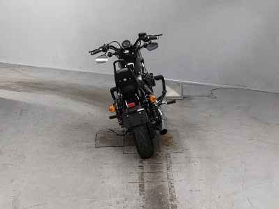 Harley-Davidson Sportster Forty-Eight XL1200X 2018