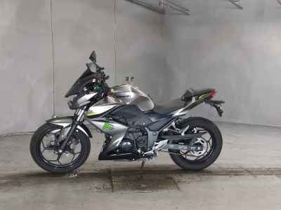 Kawasaki Z250 2017