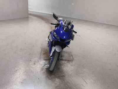 Yamaha YZF-R25