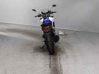 Suzuki Gladius SFV400 2018