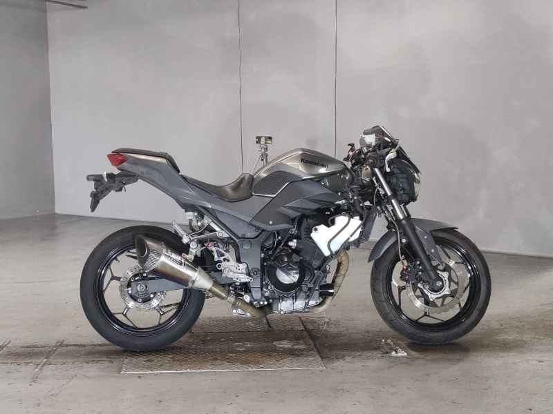 Kawasaki Z250 2017