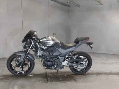 Kawasaki Z250 2017