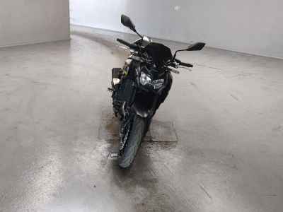 Kawasaki Z900 2021