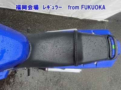 Kawasaki ZZR250