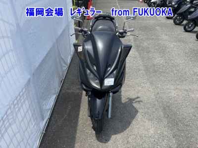 Yamaha Majesty 250C