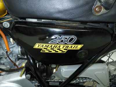 Yamaha DT1