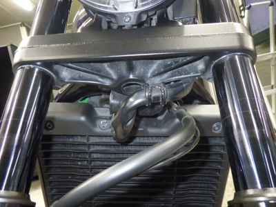 Honda Rebel CMX1100 DCT 2022