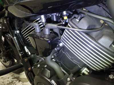 Harley-Davidson Street Rod XG750A 2021