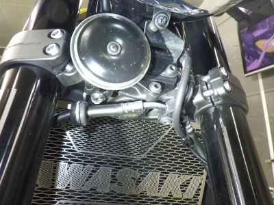 Kawasaki Z900RS 2024