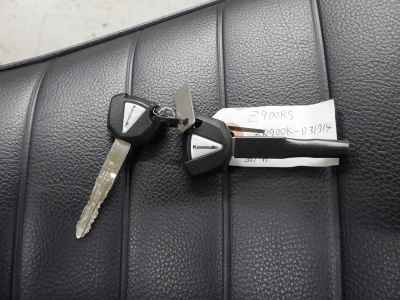 Kawasaki Z900RS 2024