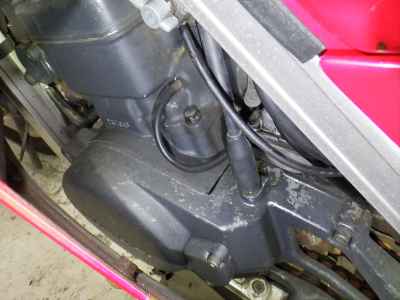 Suzuki RG250 Gamma