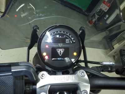 Triumph Trident 660 2024