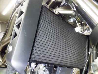 Suzuki SV650 2025