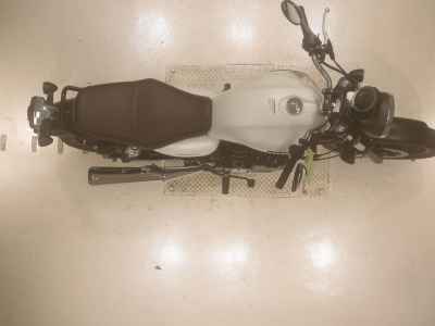 Honda GB350 2024