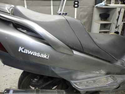 Kawasaki Epsilon 250 2006