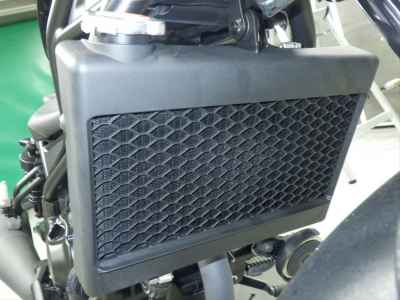 Honda Rebel CMX250 2019