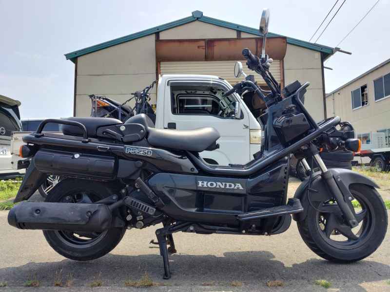 Honda PS250 Big Ruckus 2006
