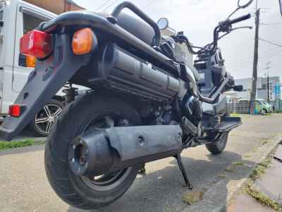 Honda PS250 Big Ruckus 2006