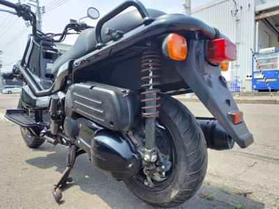 Honda PS250 Big Ruckus 2006