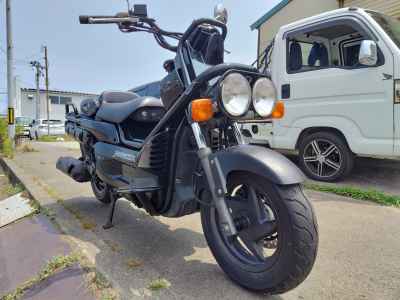 Honda PS250 Big Ruckus 2006