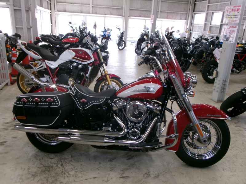 Harley-Davidson FLI HYDRA-GLID 2024