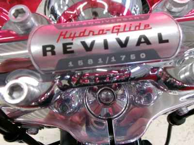 Harley-Davidson FLI HYDRA-GLID 2024