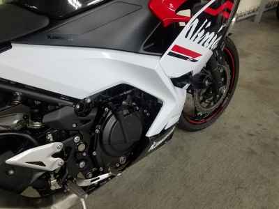 Kawasaki Ninja 250 2020
