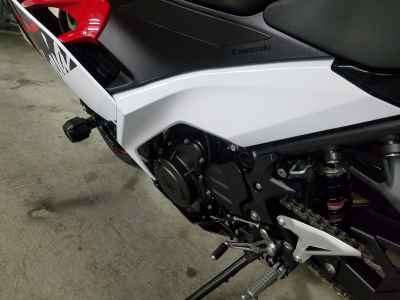 Kawasaki Ninja 250 2020