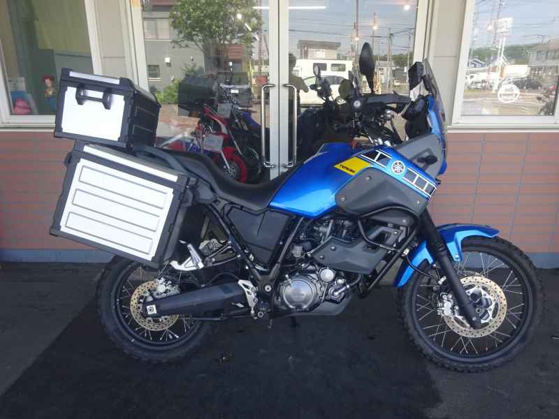 Yamaha XT660Z Tenere 2009