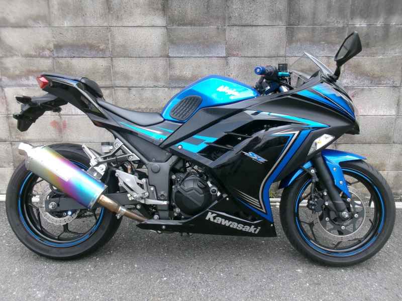 Kawasaki Ninja 250 2015