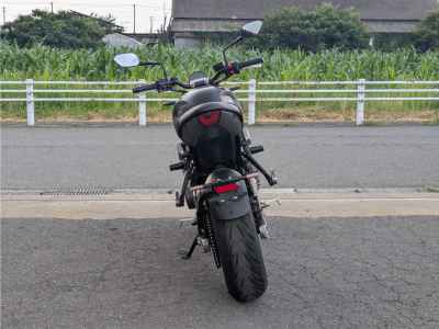 Triumph Trident 660 2021