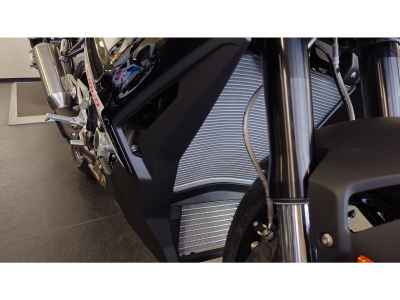 BMW S1000R 2025