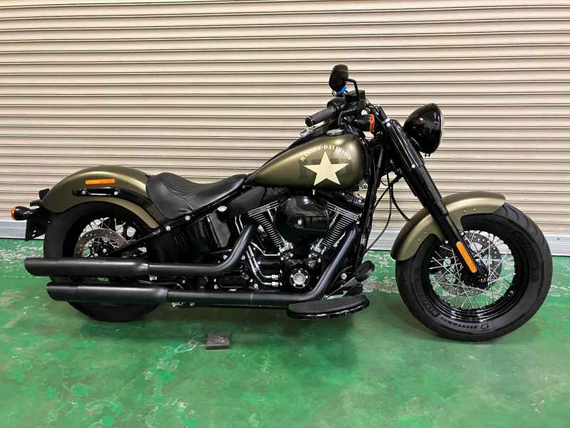 Harley-Davidson FLSS 2017
