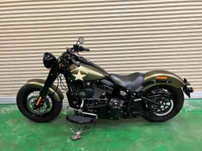 Harley-Davidson FLSS 2017