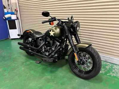 Harley-Davidson FLSS 2017