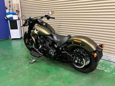 Harley-Davidson FLSS 2017