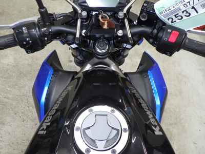 Kawasaki Z250SL 2016