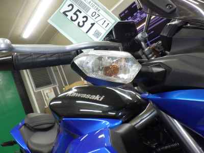 Kawasaki Z250SL 2016