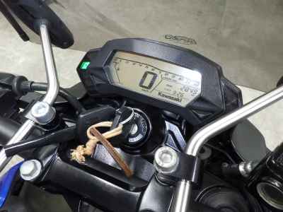 Kawasaki Z250SL 2016