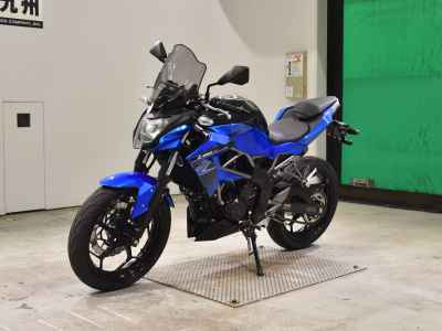 Kawasaki Z250SL 2016