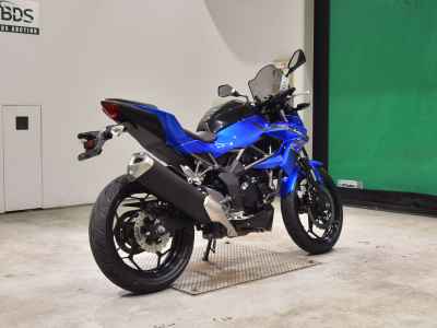 Kawasaki Z250SL 2016