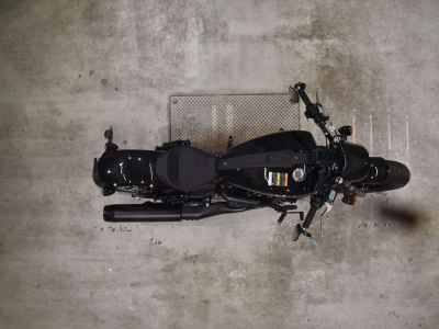 Indian ｽｶｳｽ 2025