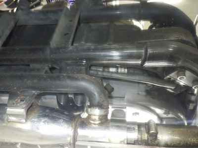 Harley-Davidson Sportster XL883L 2008