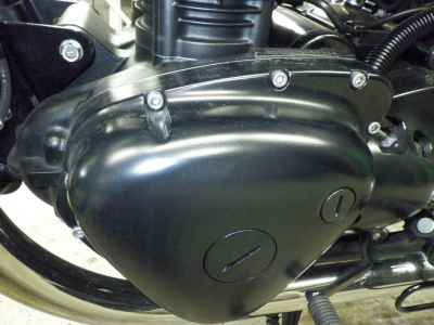 Kawasaki W800 2022