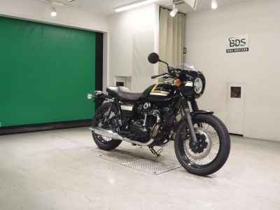 Kawasaki W800 2022