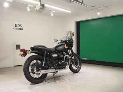 Kawasaki W800 2022