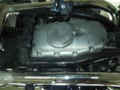 Kawasaki W800 2022