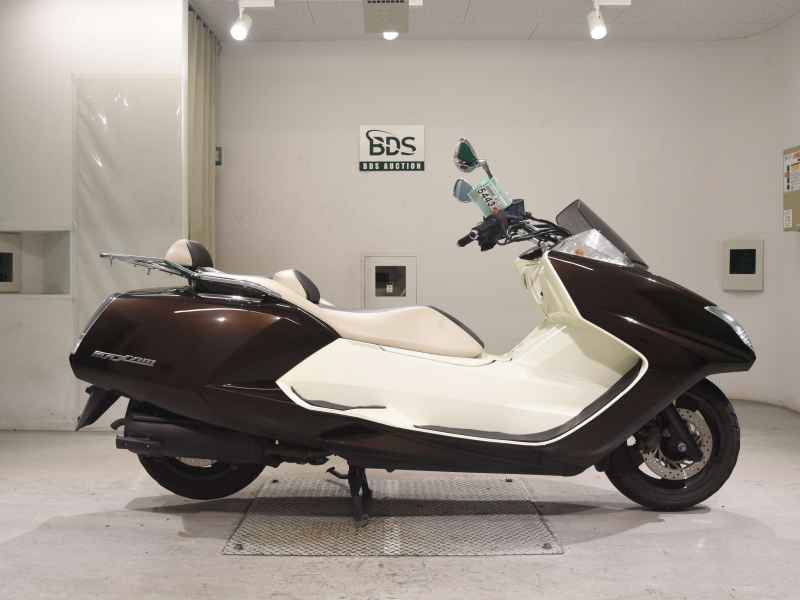 Yamaha Maxam 250 2010