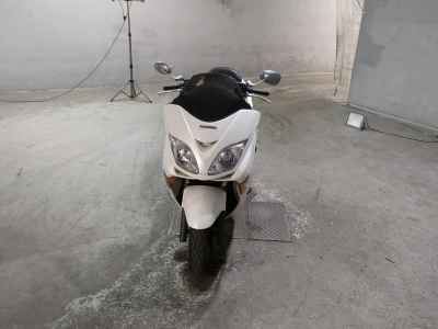 Honda Forza X