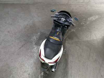 Honda Forza X